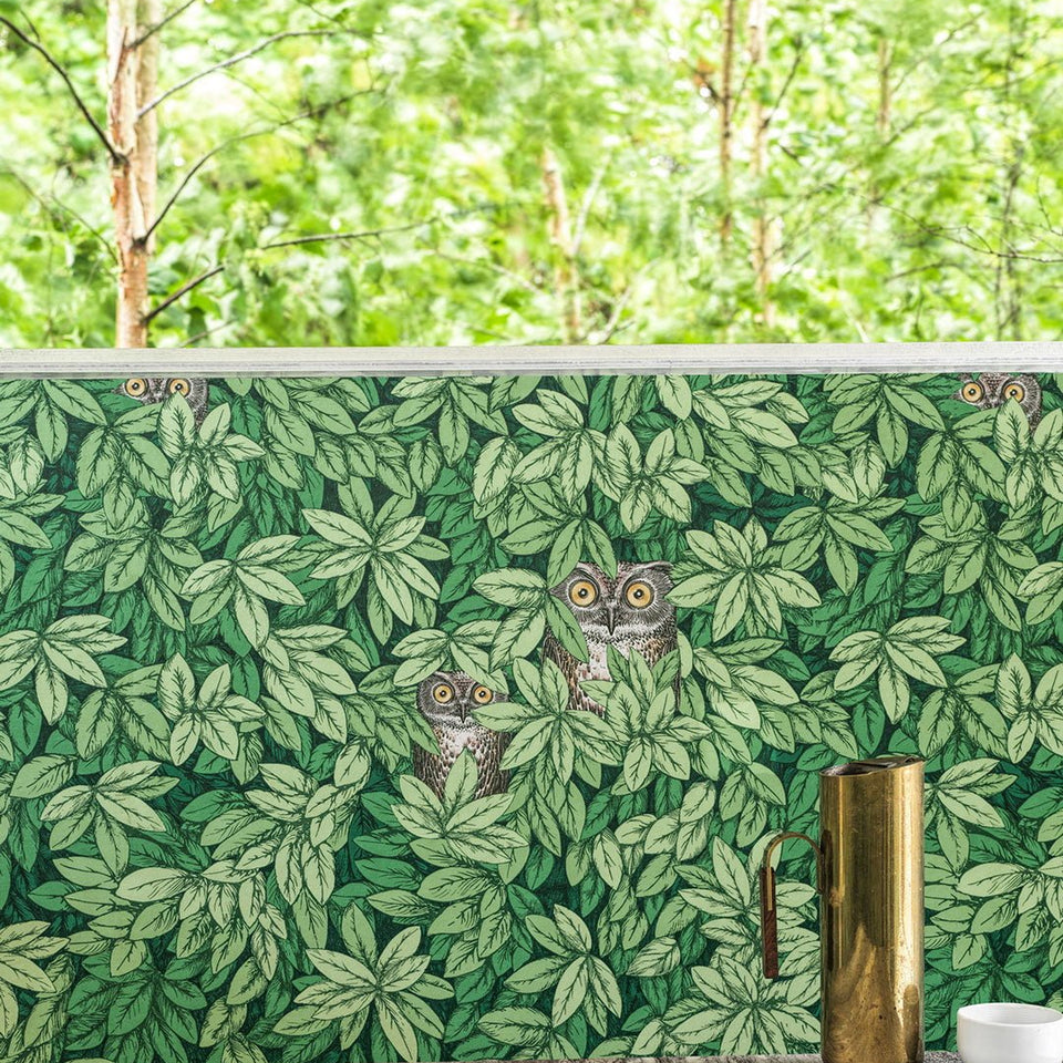 Foglie e Civette wallpaper by Cole & Son — pattern detail or room view