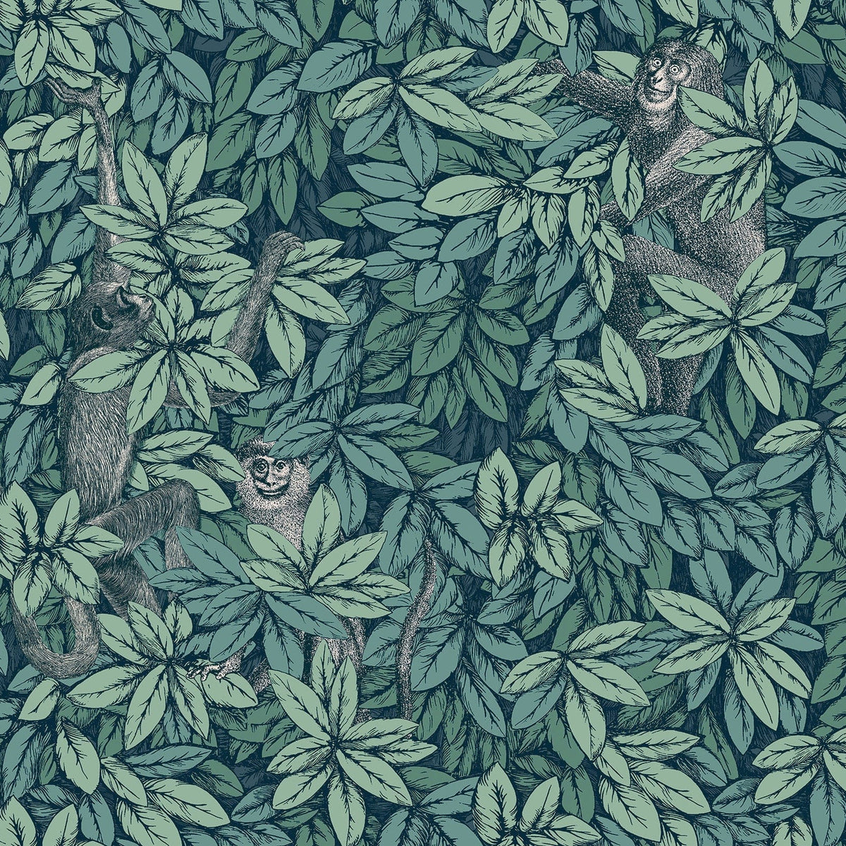 Foglie e Scimmie wallpaper by Cole & Son — Viridian