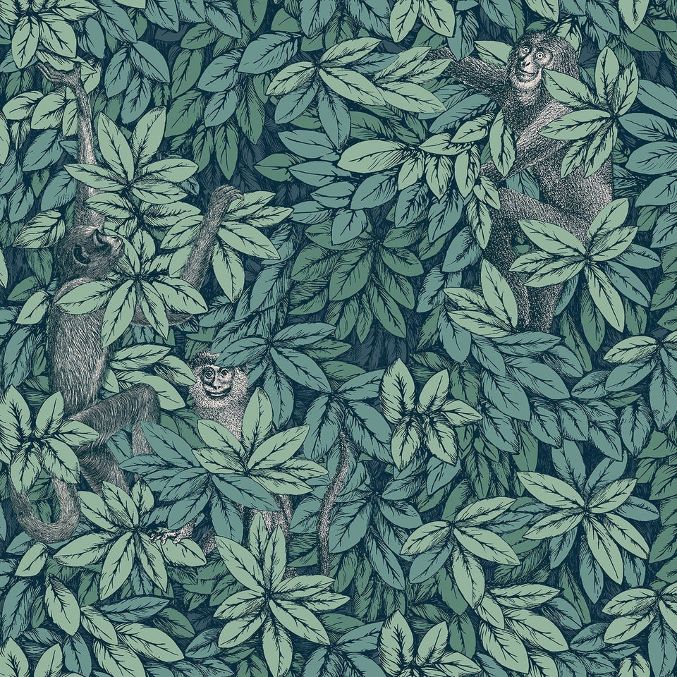 Foglie e Scimmie wallpaper by Cole & Son — Viridian