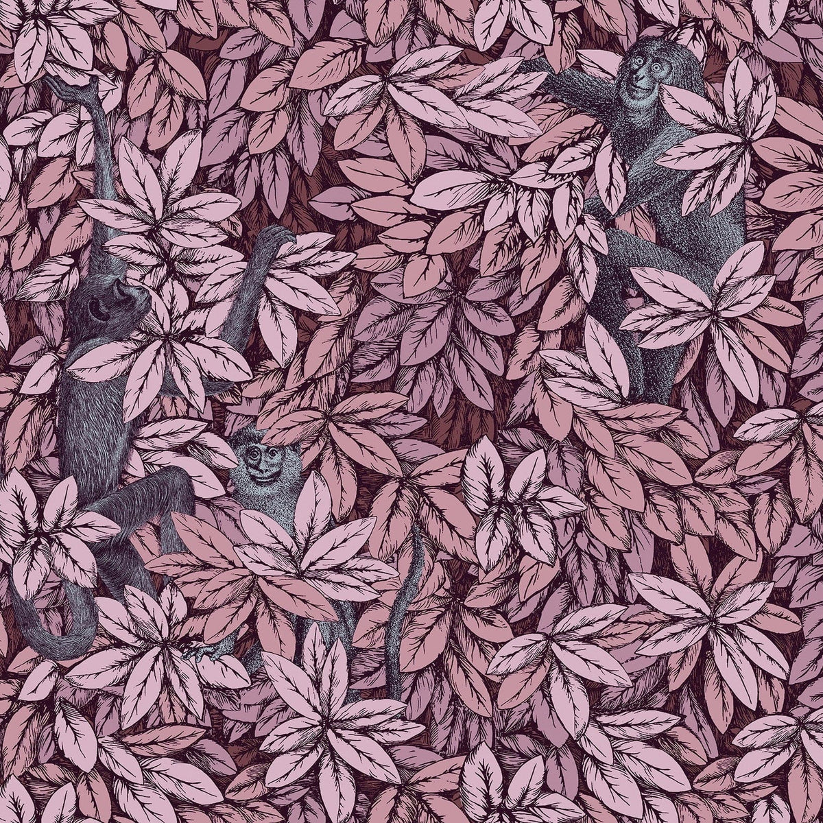 Foglie e Scimmie wallpaper by Cole & Son — Blush with Blue