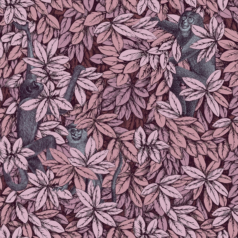 Foglie e Scimmie wallpaper by Cole & Son — Blush with Blue