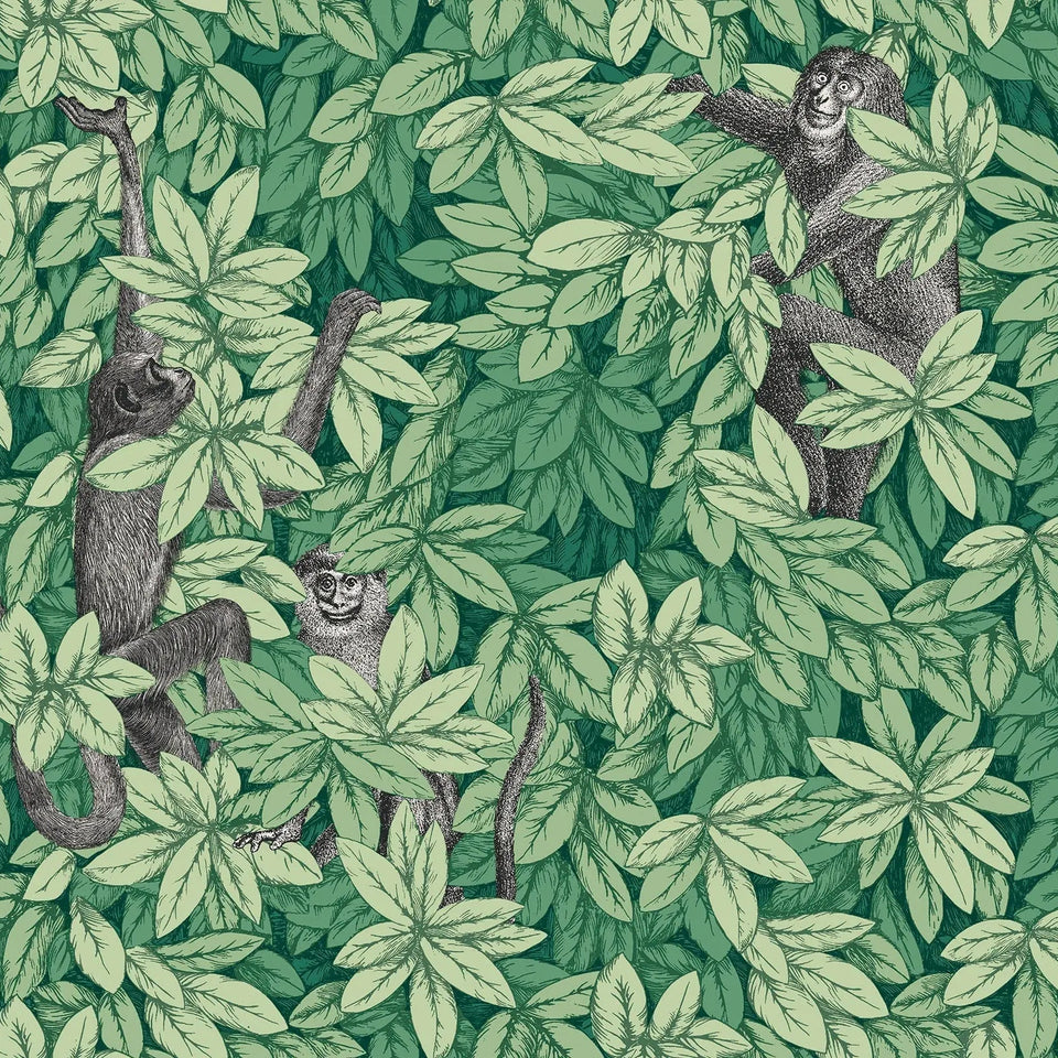 Foglie e Scimmie wallpaper by Cole & Son — Forest Green