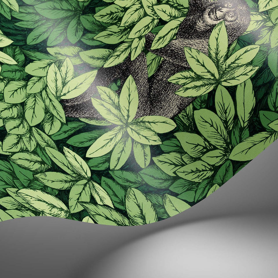 Foglie e Scimmie wallpaper by Cole & Son — pattern detail or room view