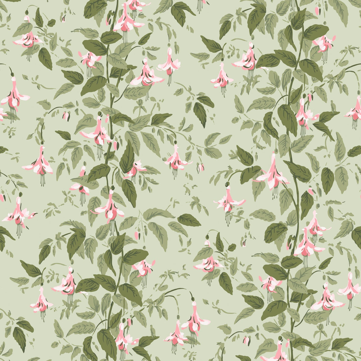 Cole & Son Fuchsia wallpaper in Powder Pink and Olive on Soft Spring Green