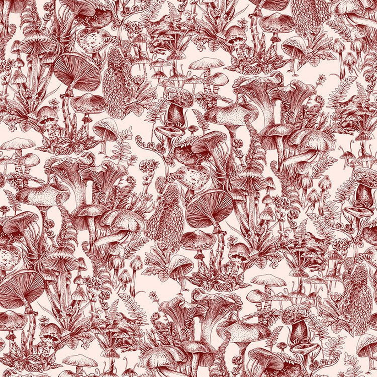 Cole & Son Fungi Forest wallpaper in Burgundy