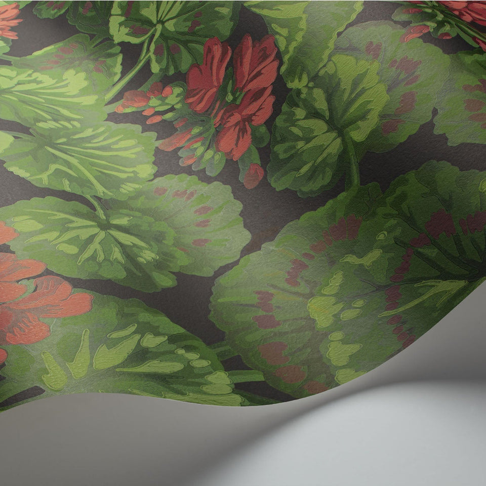 Cole & Son Geranium wallpaper in Rouge & Leaf Greens on Black