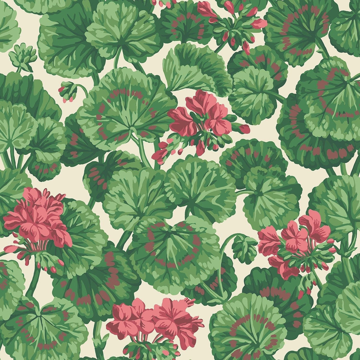 Cole & Son Geranium wallpaper in Rose & Forest Greens on Parchment