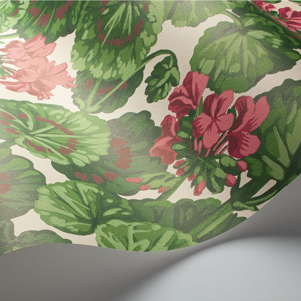 Cole & Son Geranium wallpaper in Rose & Forest Greens on Parchment