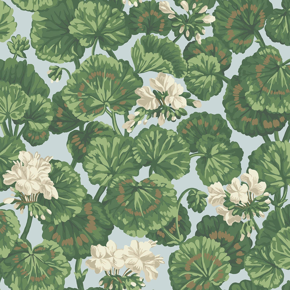 Cole & Son Geranium wallpaper in White & Sage on Seafoam