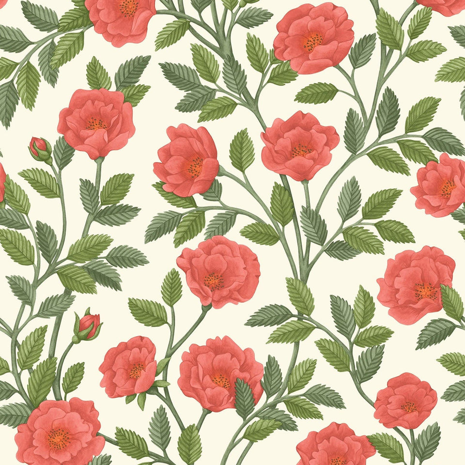 Cole & Son Hampton Roses wallpaper in Rouge & Spring Green on Parchment