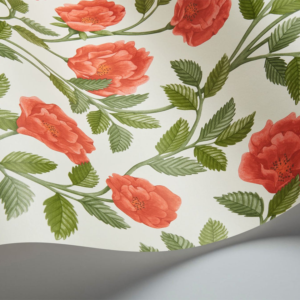 Cole & Son Hampton Roses wallpaper in Rouge & Spring Green on Parchment