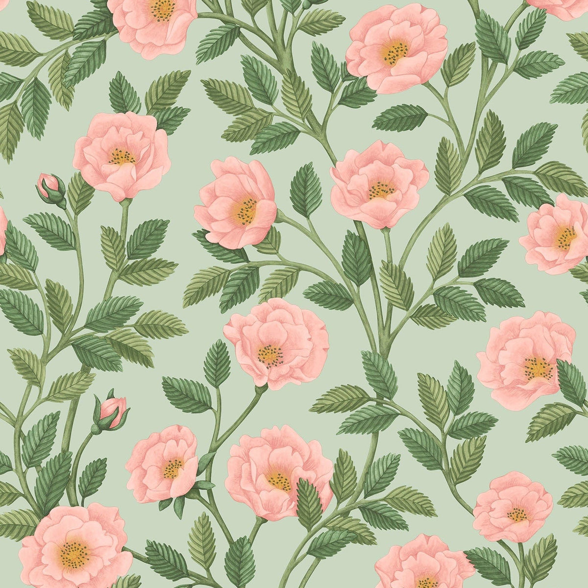 Cole & Son Hampton Roses wallpaper in Rose & Leaf Green on Duck Egg