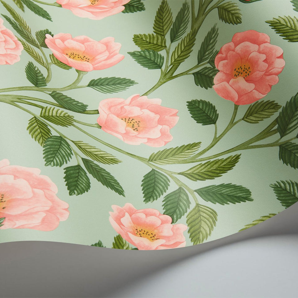 Cole & Son Hampton Roses wallpaper in Rose & Leaf Green on Duck Egg