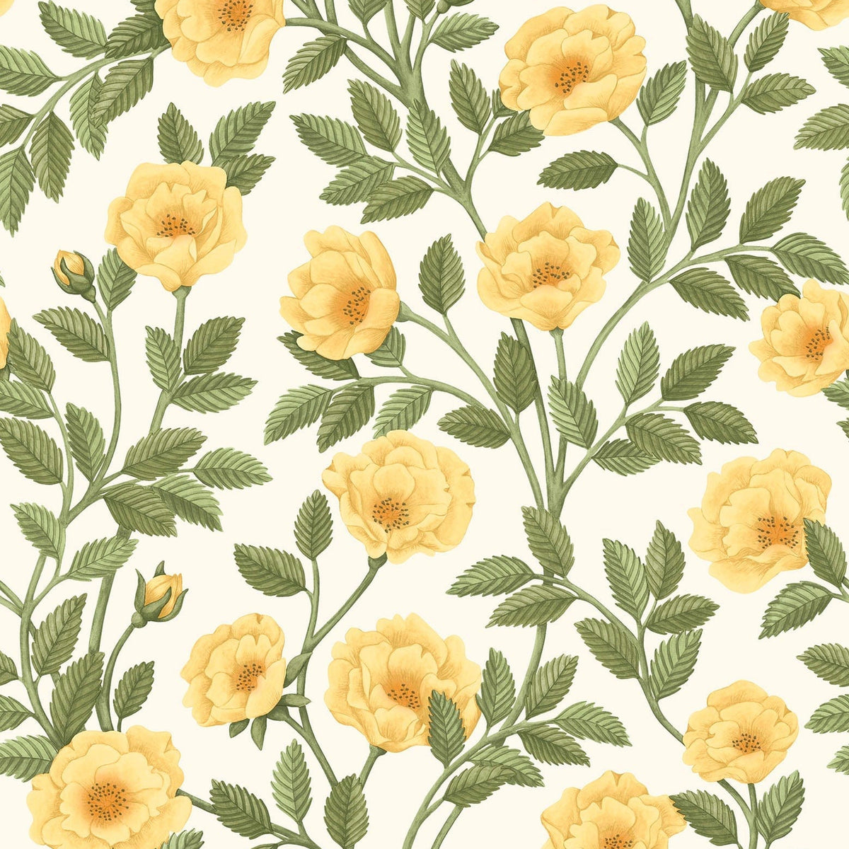 Cole & Son Hampton Roses wallpaper in Marigold & Olive Green on White