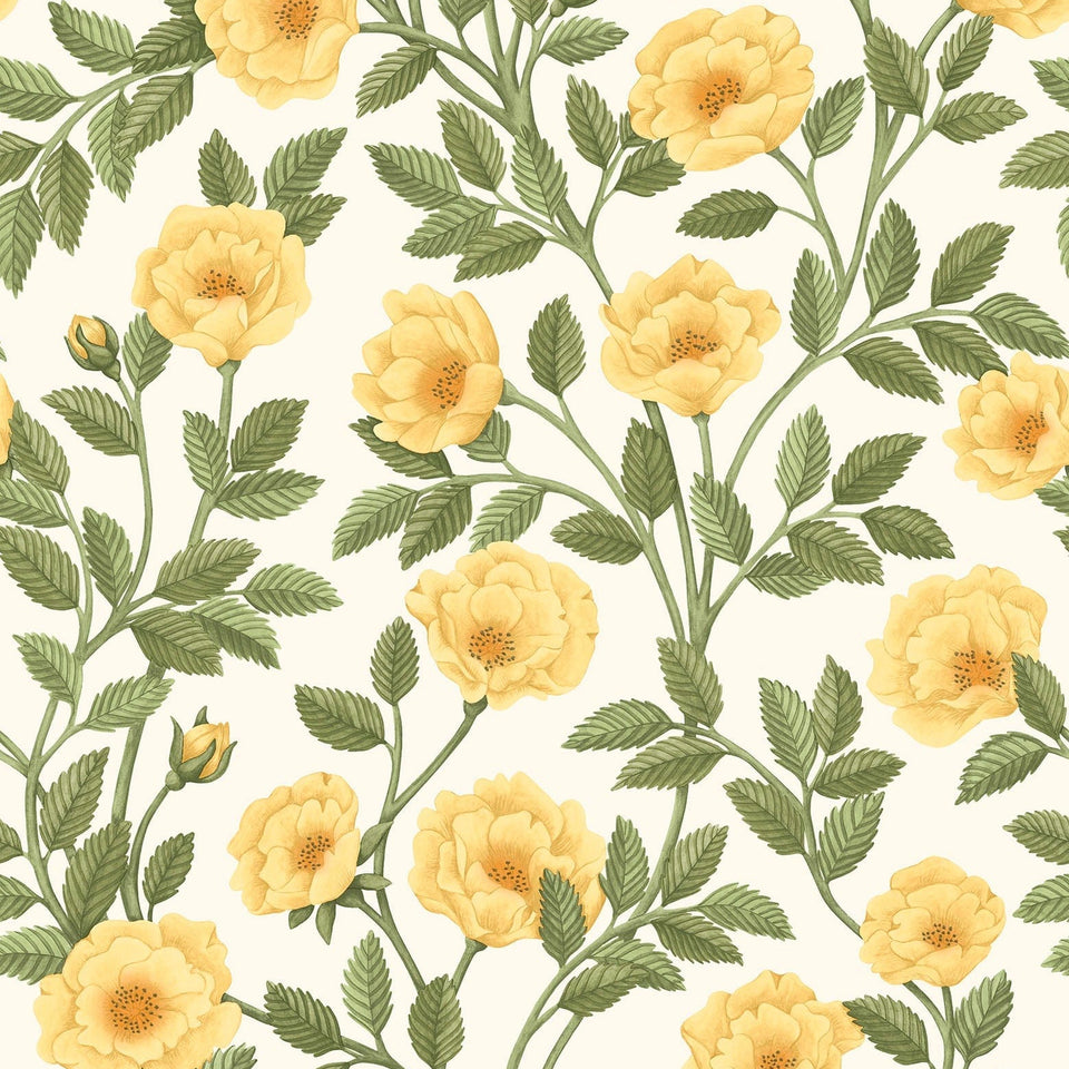 Cole & Son Hampton Roses wallpaper in Marigold & Olive Green on White