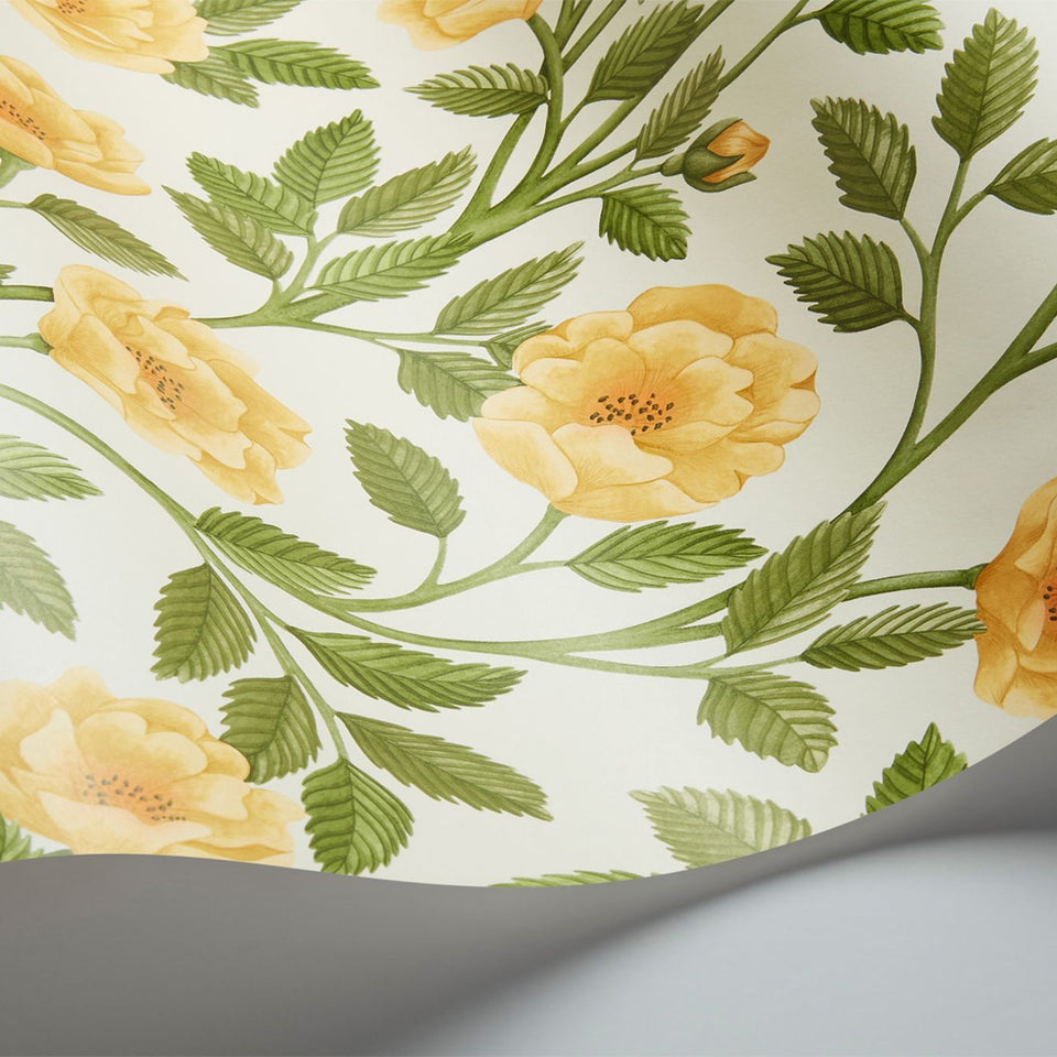 Cole & Son Hampton Roses wallpaper in Marigold & Olive Green on White
