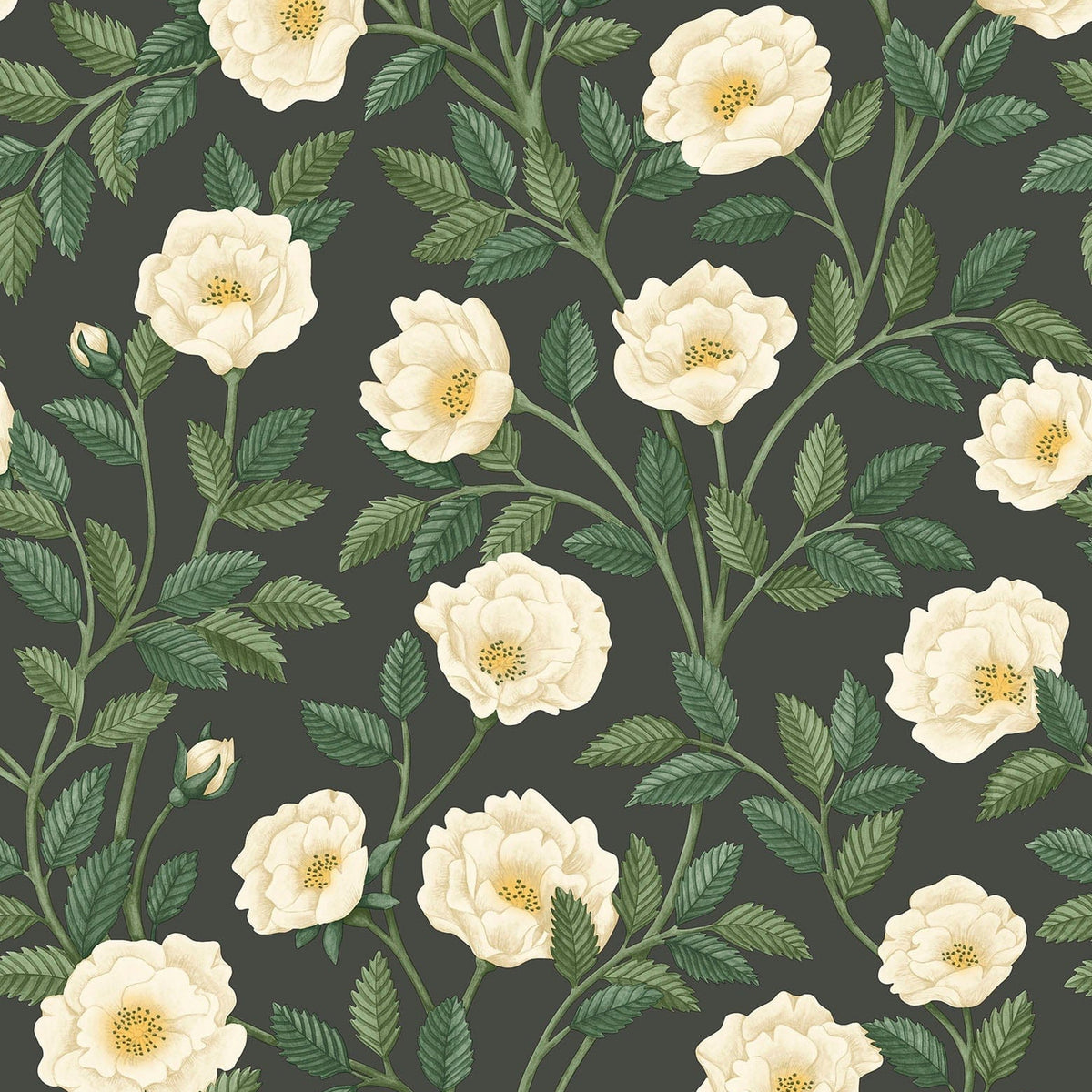 Cole & Son Hampton Roses wallpaper in Cream & Forest Green on Charcoal