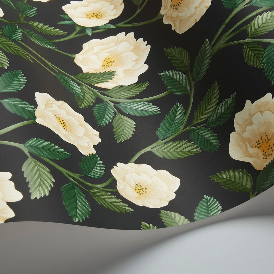 Cole & Son Hampton Roses wallpaper in Cream & Forest Green on Charcoal