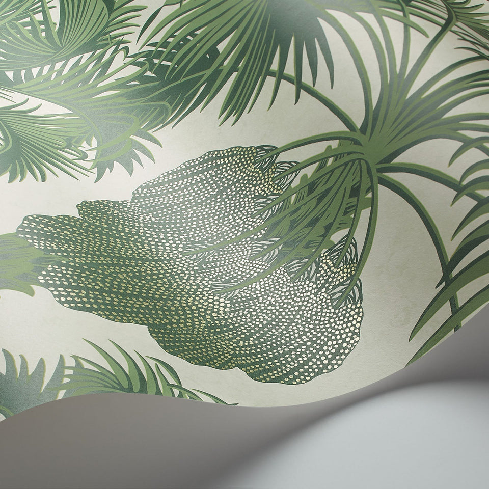 Cole & Son Hollywood Palm wallpaper — Forest Green on Cream