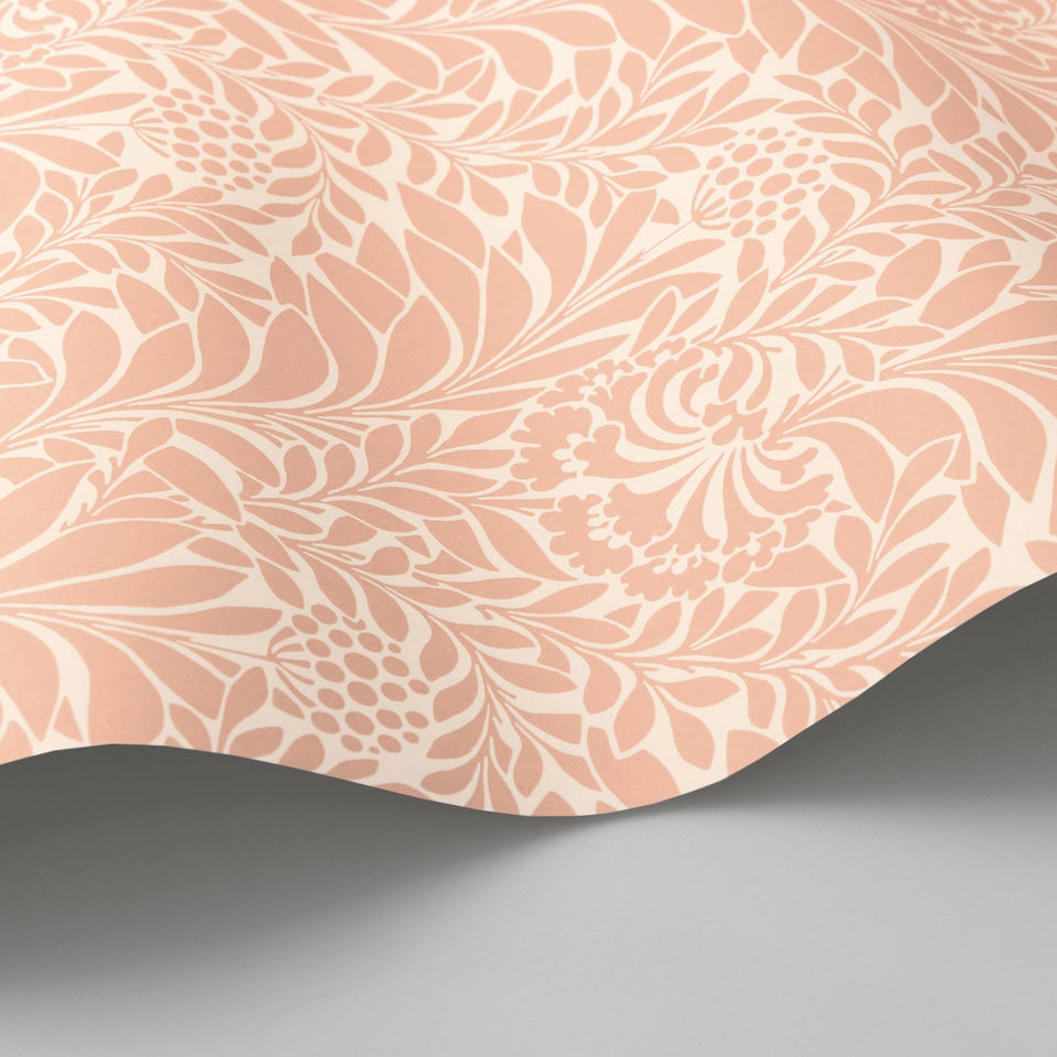 Cole & Son Honeysuckle wallpaper — Blush