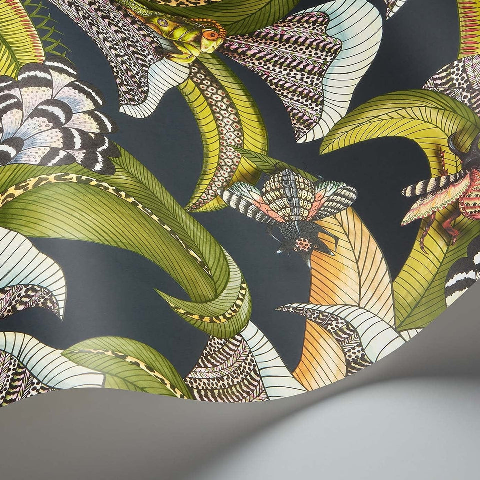 Cole & Son Hoopoe Leaves wallpaper — Olive Green, Chartreuse & Fuchsia on Black
