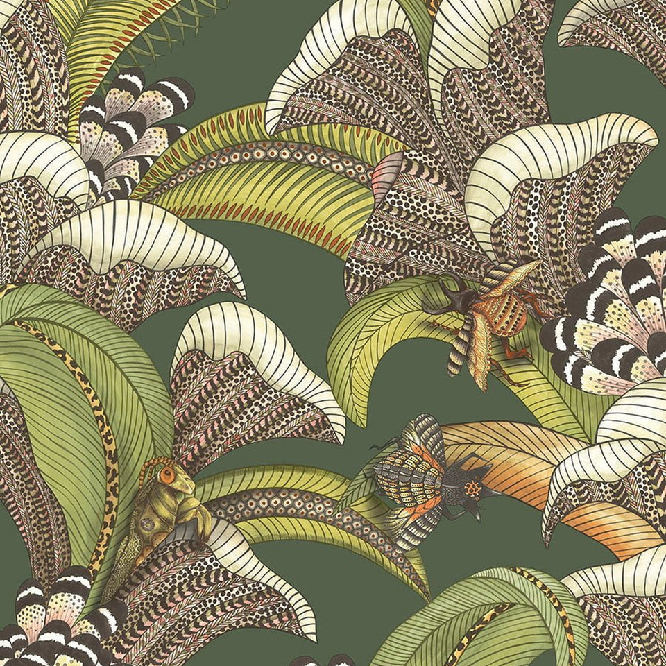 Cole & Son Hoopoe Leaves wallpaper — Spring Green, Chartreuse & Coral on Forest