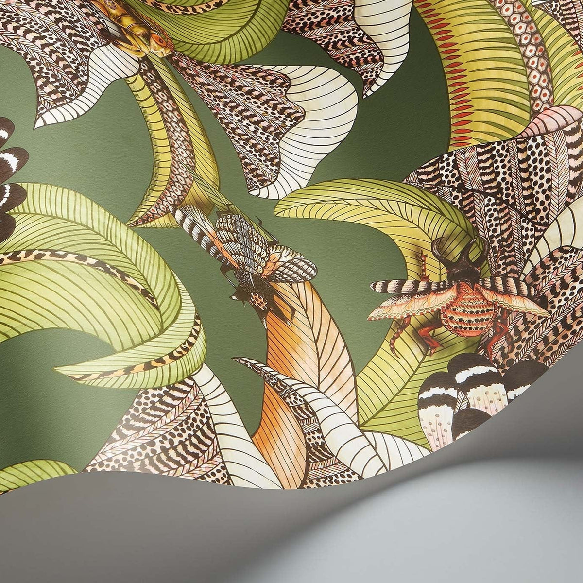 Cole & Son Hoopoe Leaves wallpaper — Spring Green, Chartreuse & Coral on Forest
