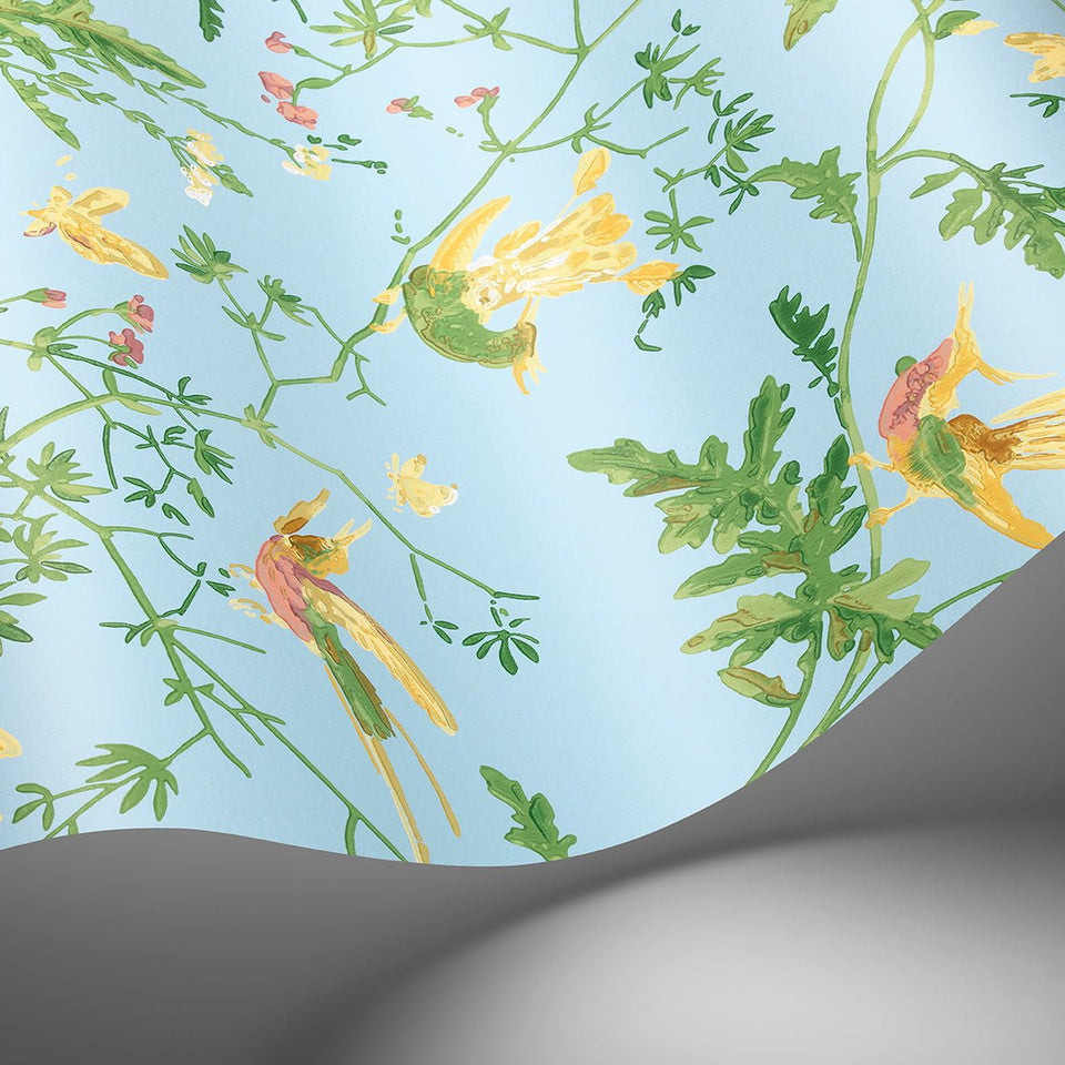Cole & Son Hummingbirds wallpaper — Buttercup Yellow on Cornflower Blue