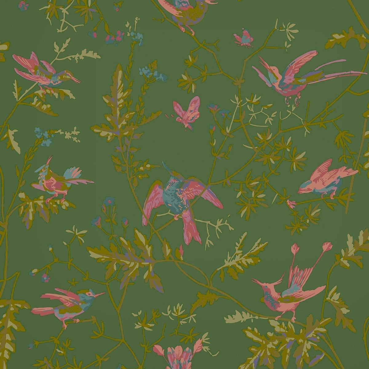 Cole & Son Hummingbirds wallpaper — Fuchsia on Racing Green