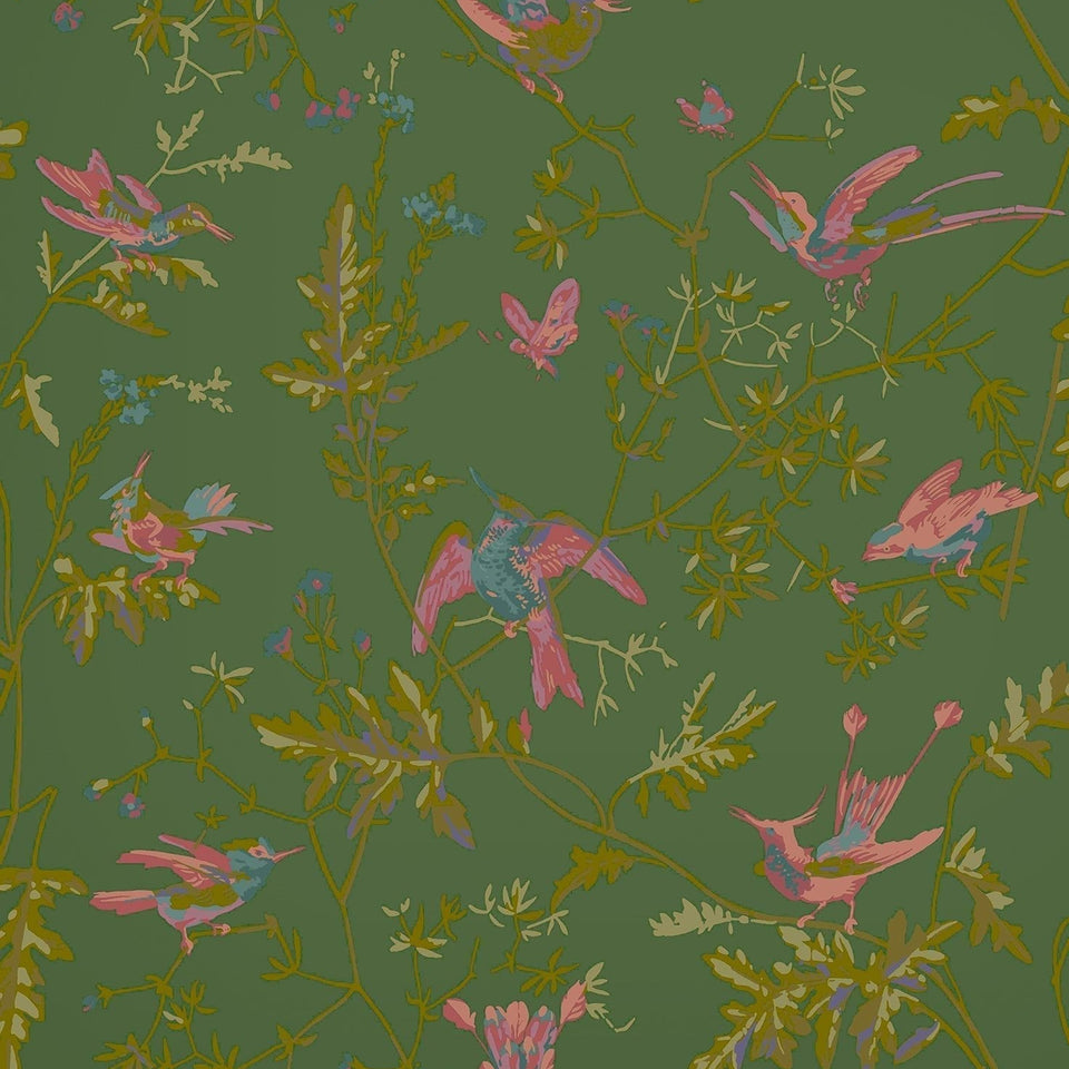 Cole & Son Hummingbirds wallpaper — Fuchsia on Racing Green