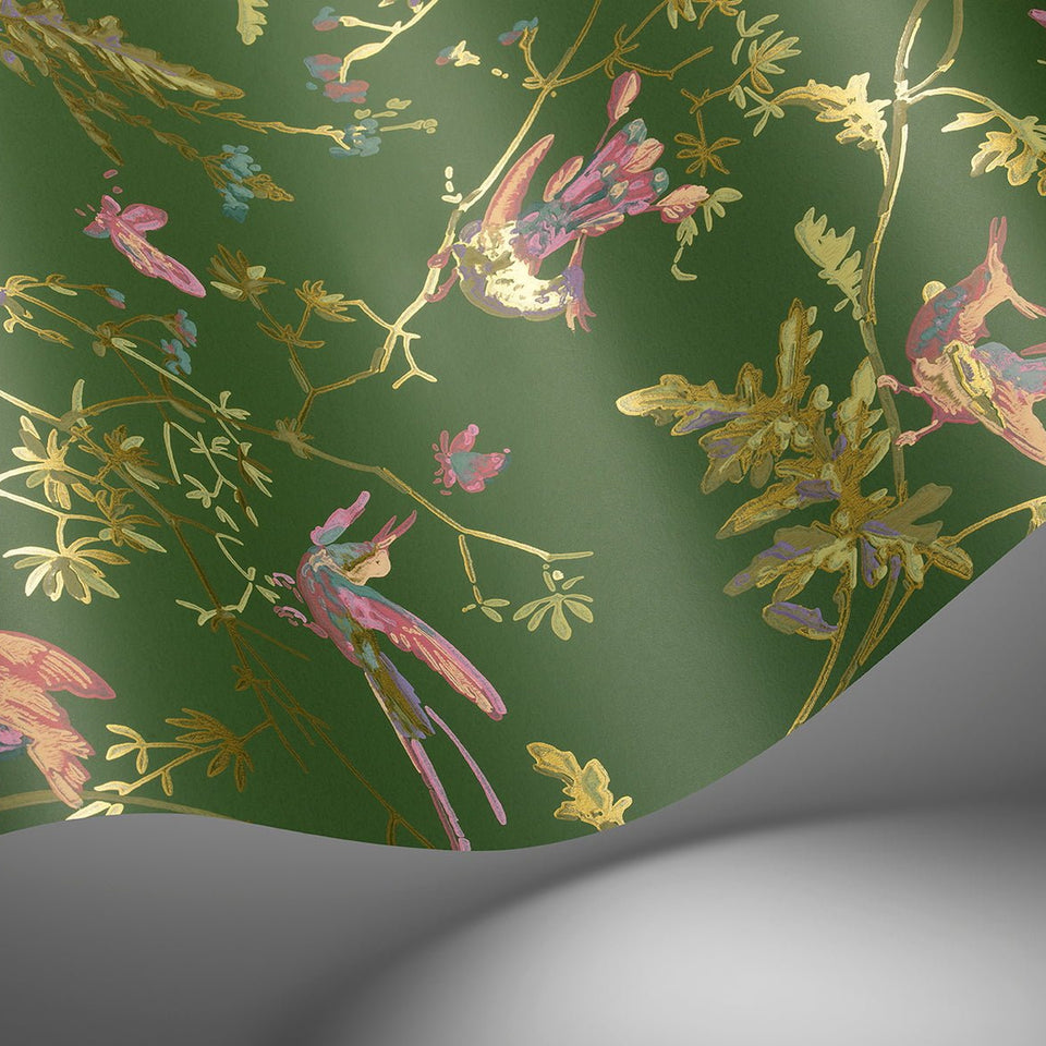 Cole & Son Hummingbirds wallpaper — Fuchsia on Racing Green