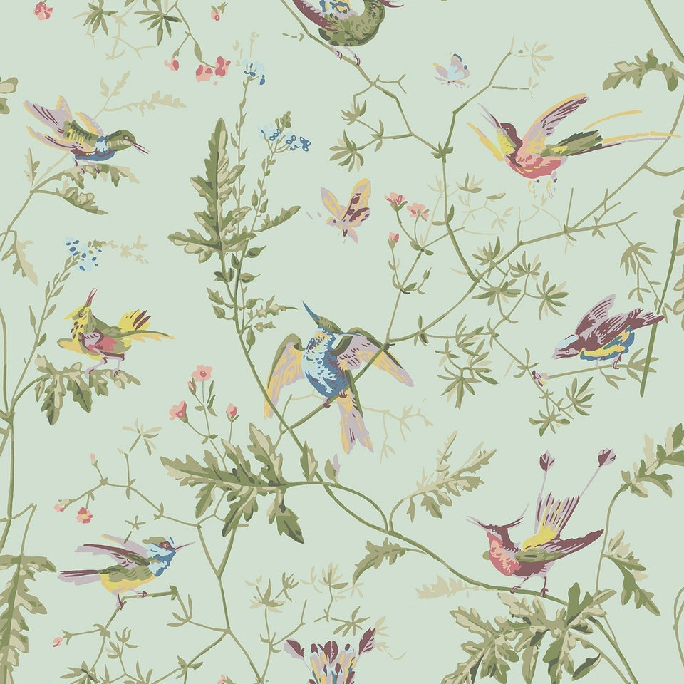 Cole & Son Hummingbirds wallpaper — Multi, Old Olive on Duck Egg Mica