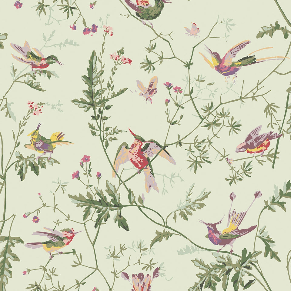 Cole & Son Hummingbirds wallpaper — Multi, Old Olive on Eau Du Nil