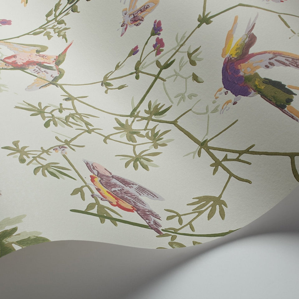 Cole & Son Hummingbirds wallpaper — Multi, Old Olive on Eau Du Nil