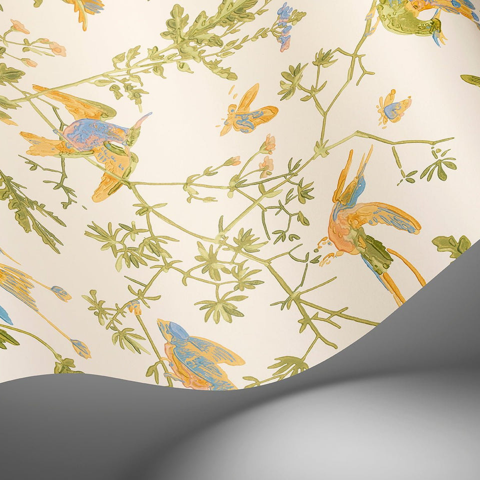 Cole & Son Hummingbirds wallpaper — Tangerine & Olive on Blush