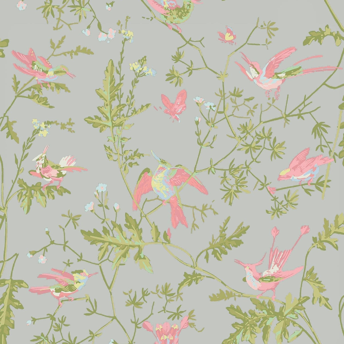 Cole & Son Hummingbirds wallpaper — Rose & Olive on Grey