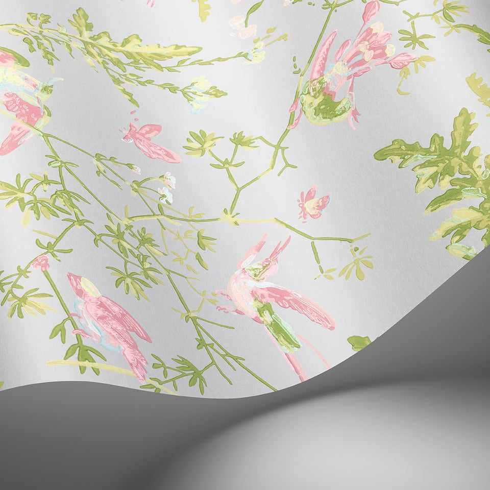 Cole & Son Hummingbirds wallpaper — Rose & Olive on Grey