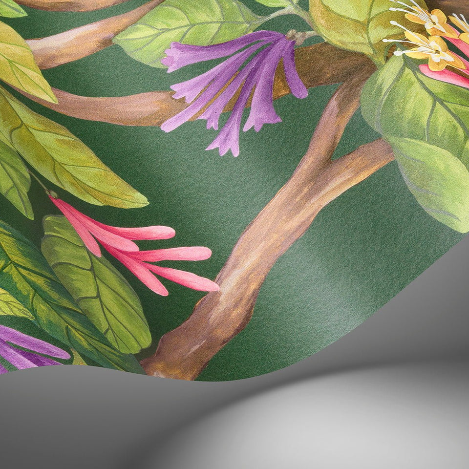 Cole & Son Hummingbirds Flora wallpaper — Fuchsia on Racing Green