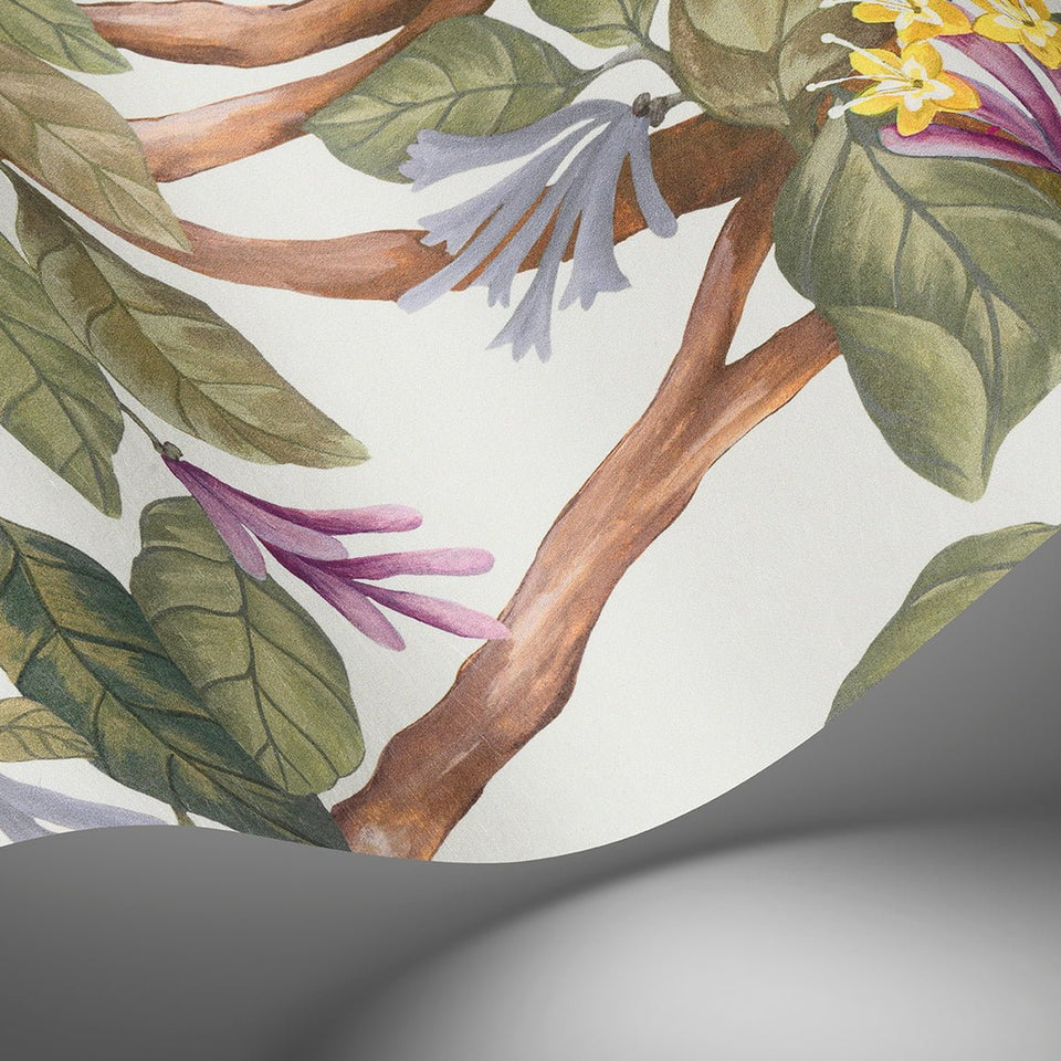 Cole & Son Hummingbirds Flora wallpaper — Multi, Old Olive on Eau Du Nil