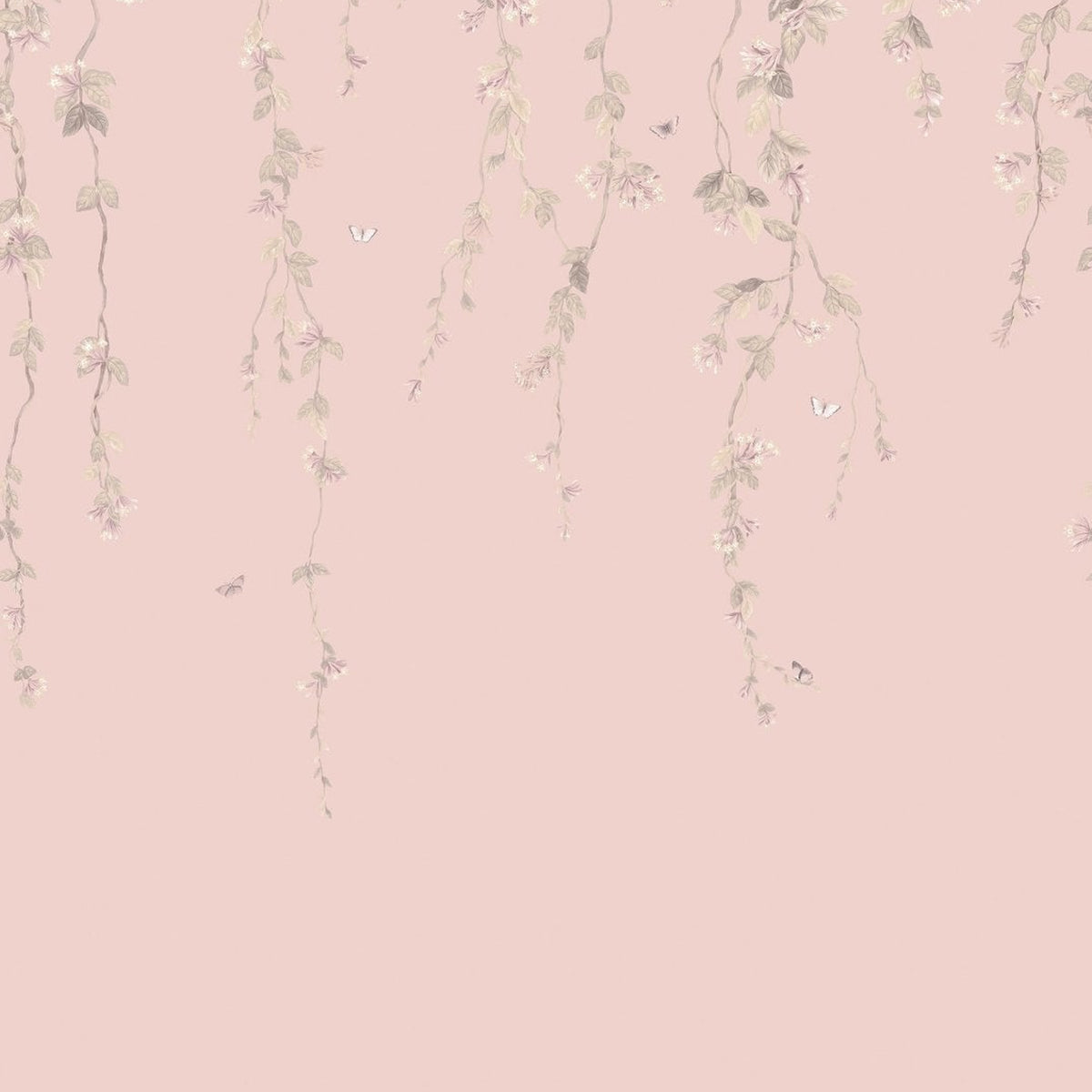 Cole & Son Hummingbirds Flora wallpaper — Stone on Rose Quartz