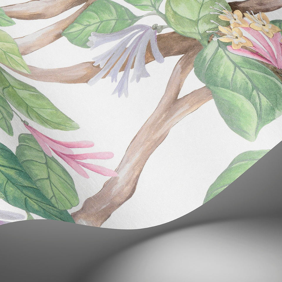Cole & Son Hummingbirds Flora wallpaper — Blush, Sage, & Mulberry on Cream