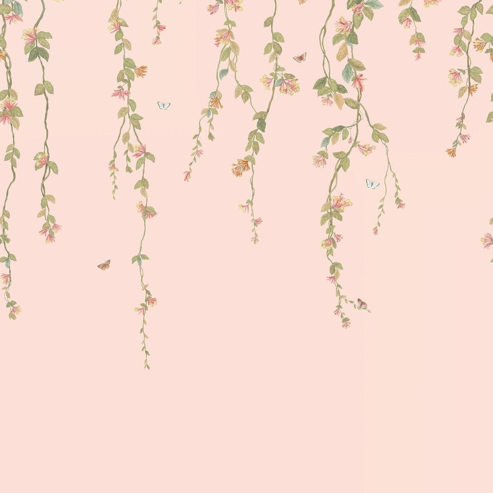 Cole & Son Hummingbirds Flora wallpaper — Tangerine & Olive on Blush