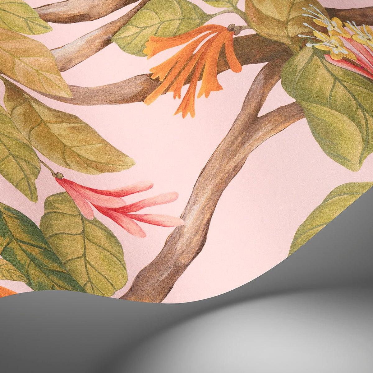 Cole & Son Hummingbirds Flora wallpaper — Tangerine & Olive on Blush