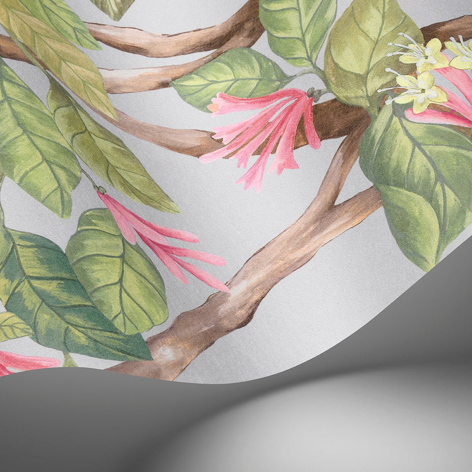 Cole & Son Hummingbirds Flora wallpaper — Rose & Olive on Grey