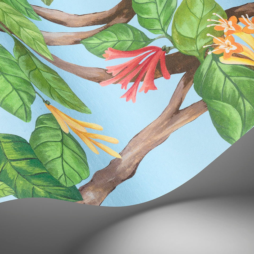 Cole & Son Hummingbirds Flora wallpaper — Buttercup Yellow on Cornflower Blue