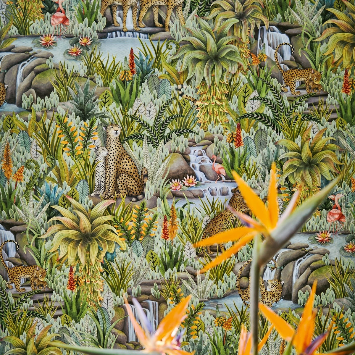 Cole & Son Injisuthi wallpaper in Jade