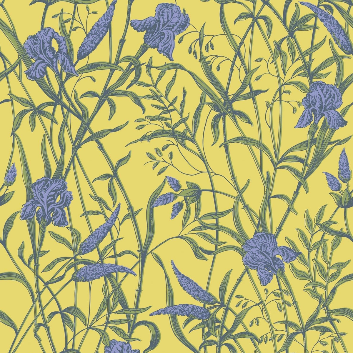 Cole & Son Iris wallpaper