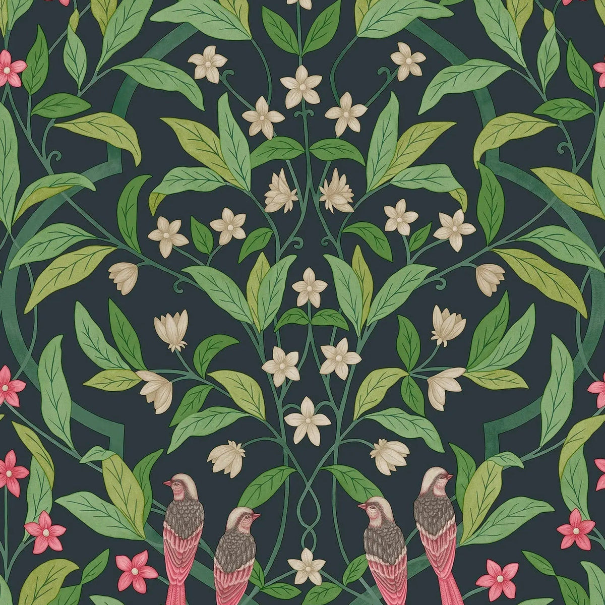 Cole & Son Jasmine & Serin Symphony wallpaper