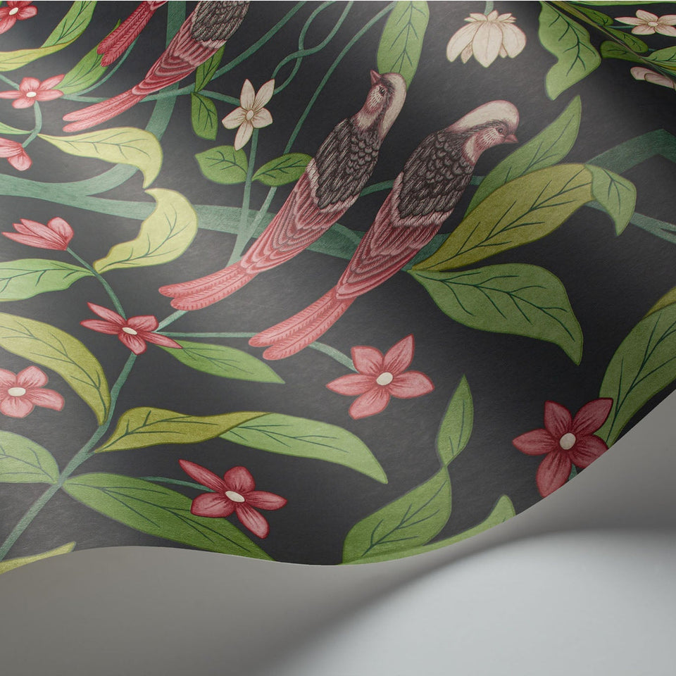 Cole & Son Jasmine & Serin Symphony wallpaper