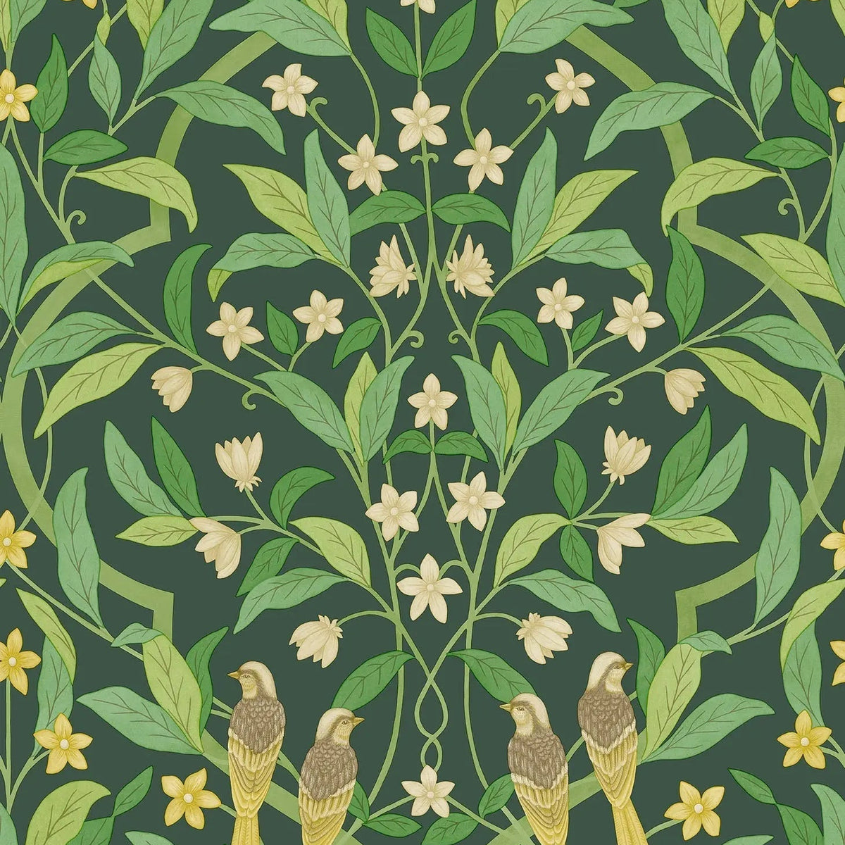 Cole & Son Jasmine & Serin Symphony wallpaper
